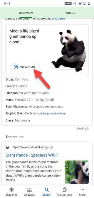 Complete List: Google AR 3D Animals, Objects & More (2023)