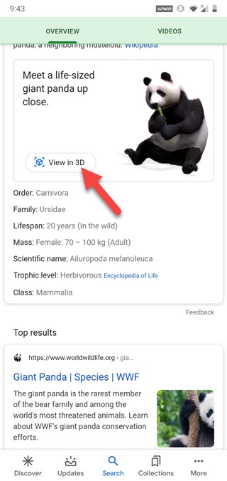 Google 3D Animals AR Feature: From Lion, Giant Panda, Tiger, Cat to  Penguin, View Full List of Animals, Birds And Reptiles That Will Give You  Company in Lockdown!
