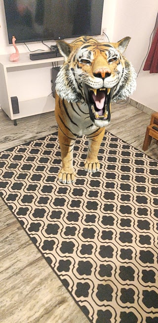 Google 3D Tiger