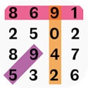 Number Search Puzzle