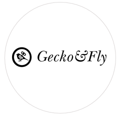 Gecko & Fly